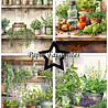 Paper Favourites Herbs A5 Paper Pack (PFA135) (DISCONTINUED) Paper Favourites Herbs A5 Paper Pack (PFA135) (DISCONTINUED)