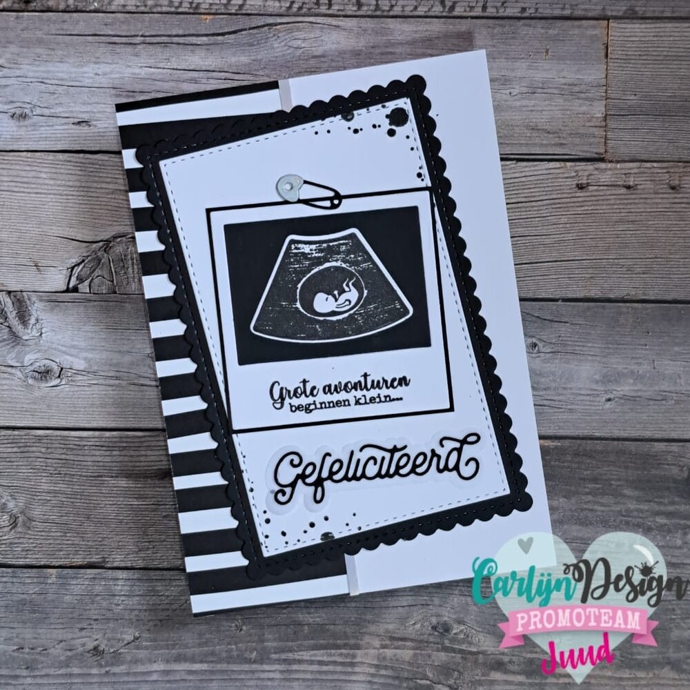CarlijnDesign Dies Proficiat & Gefeliciteerd (CDSN-0252)
