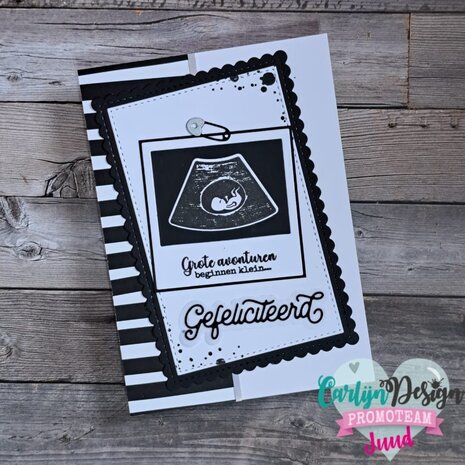 CarlijnDesign Dies Proficiat & Gefeliciteerd (CDSN-0252)