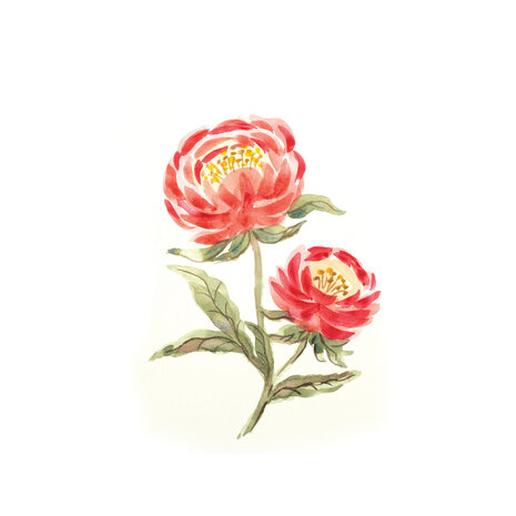 Crafter's Companion Watercolour Fusion Stamp Perfect Peony (SD-WF-STP-PEPE) (DISCONTINUED)
