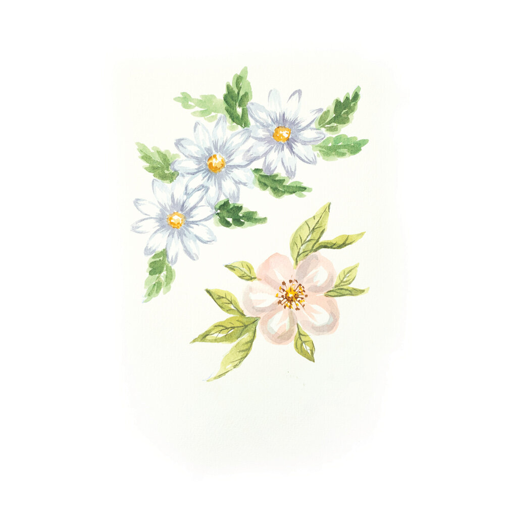 Crafter's Companion Watercolour Fusion Stamp Daisy and Wild Rose (SD-WF-STP-DWRO) (DISCONTINUED)