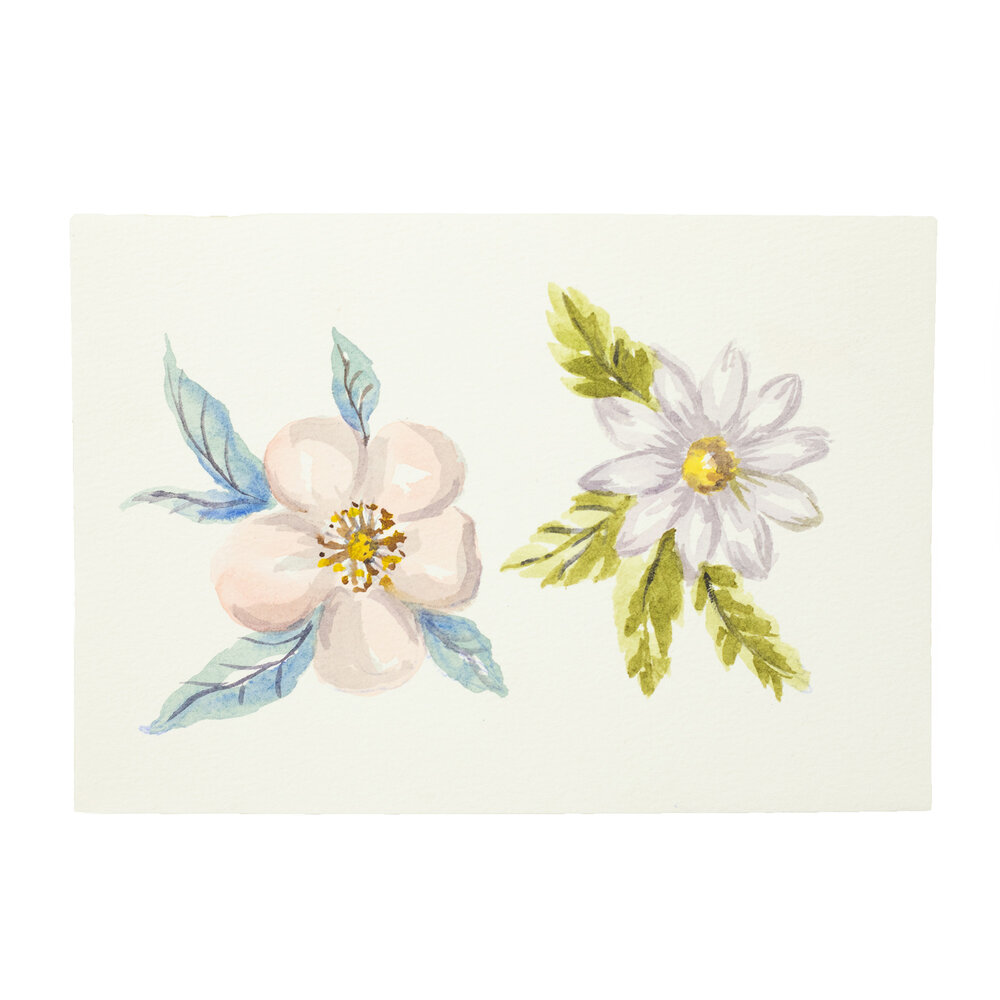 Crafter's Companion Watercolour Fusion Stamp Daisy and Wild Rose (SD-WF-STP-DWRO) (DISCONTINUED)