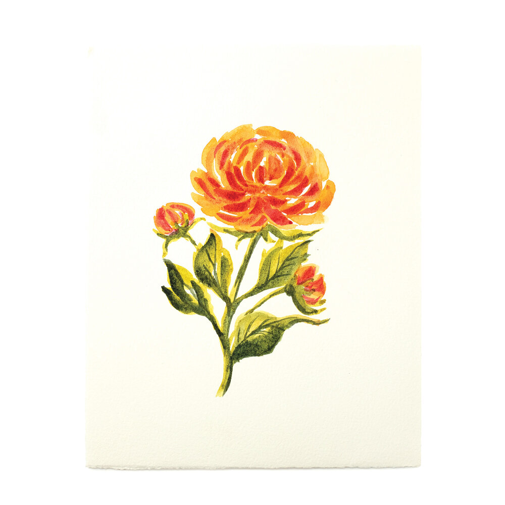 Crafter's Companion Watercolour Fusion Stamp Classic Chrysanthemum (SD-WF-STP-CLCH) (DISCONTINUED) Crafter's Companion Watercolour Fusion Stamp Classic Chrysanthemum (SD-WF-STP-CLCH) (DISCONTINUED)