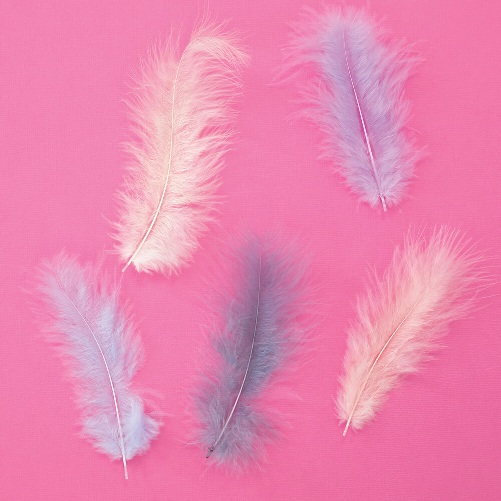 Crafter's Companion Age of Elegance Feathers (SS-AOE-FEAT) (DISCONTINUED) Crafter's Companion Age of Elegance Feathers (SS-AOE-FEAT) (DISCONTINUED)