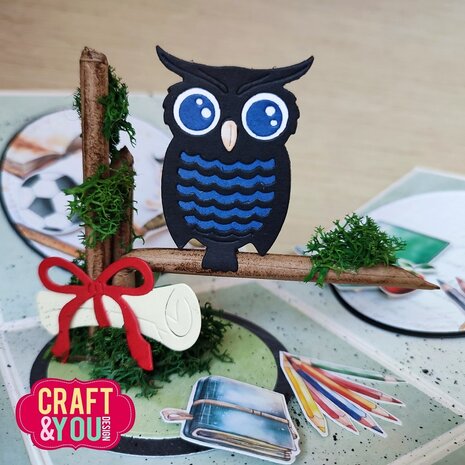 Craft & You Design Owl Set Dies (CW292)