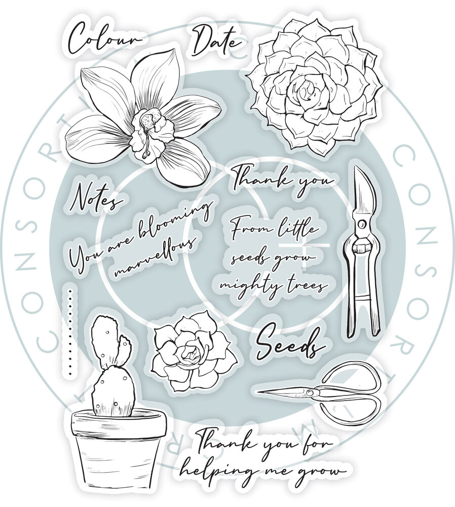 Craft Consortium Botany Boutique Clear Stamps Orchid (CCSTMP093) (DISCONTINUED) Craft Consortium Botany Boutique Clear Stamps Orchid (CCSTMP093) (DISCONTINUED)