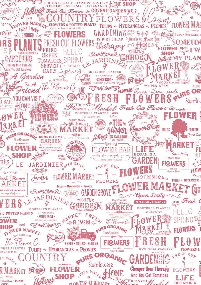 Ciao Bella Flower Shop A4 Vellum Paper Patterns (6pcs) (CBV016) Ciao Bella Flower Shop A4 Vellum Paper Patterns (6pcs) (CBV016)