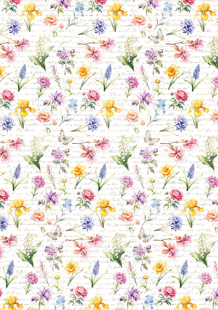 Ciao Bella Flower Shop A4 Vellum Paper Patterns (6pcs) (CBV016) Ciao Bella Flower Shop A4 Vellum Paper Patterns (6pcs) (CBV016)