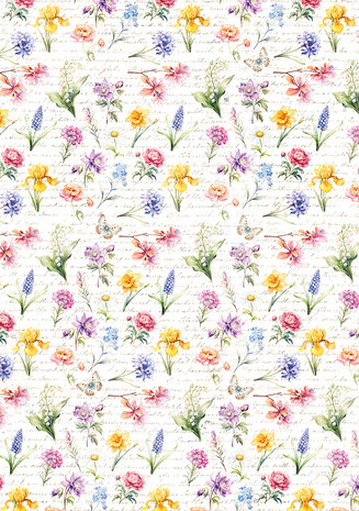 Ciao Bella Flower Shop A4 Vellum Paper Patterns (6pcs) (CBV016) Ciao Bella Flower Shop A4 Vellum Paper Patterns (6pcs) (CBV016)