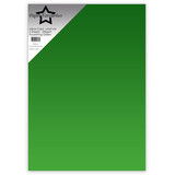 Paper Favourites Flourishing Green A4 Mirror Card Matte 250gsm (5pcs) (PFSS015)