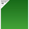 Paper Favourites Mirror Card Matte A4 Flourishing Green 250gsm (5pcs) (PFSS015)