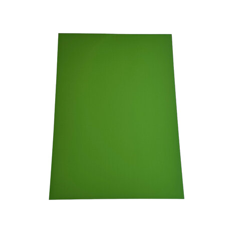 Paper Favourites Flourishing Green A4 Mirror Card Matte 250gsm (5pcs) (PFSS015)