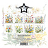 Wild Flowers 6x6 Inch Paper Pack (PF503)