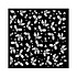 Classic Christmas Thick Stencil 18x18cm Gooseberry Pattern (KSTDQ114) (DISCONTINUED) Classic Christmas Thick Stencil 18x18cm Gooseberry Pattern (KSTDQ114) (DISCONTINUED)