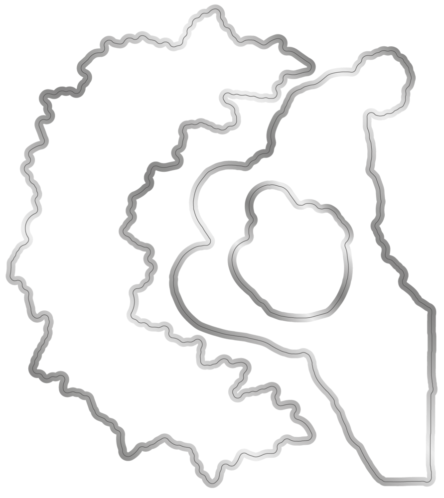 Crafter's Companion Through the Window Stamp & Die Christmas Window (SD-TW-STD-CHRWI)