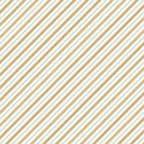 Ciao Bella The Nutcracker 6x6 Inch Vellum Fussy Cut (6pcs) (CBVQ019) Ciao Bella The Nutcracker 6x6 Inch Vellum Fussy Cut (6pcs) (CBVQ019)