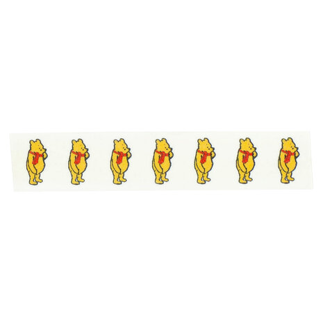Echo Park Washi Tape Winter Winnie (WPC386037)