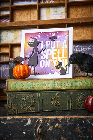 Sizzix Thinlits Die by Tim Holtz Vault Wicked (15pcs) (666683)