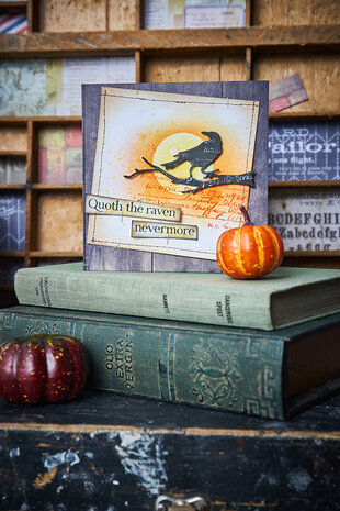 Sizzix Thinlits Die by Tim Holtz Vault Fright Night (11pcs) (666684)