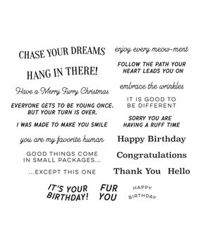 Spellbinders Cats and Pugs Sentiments Clear Stamp (STP-232)