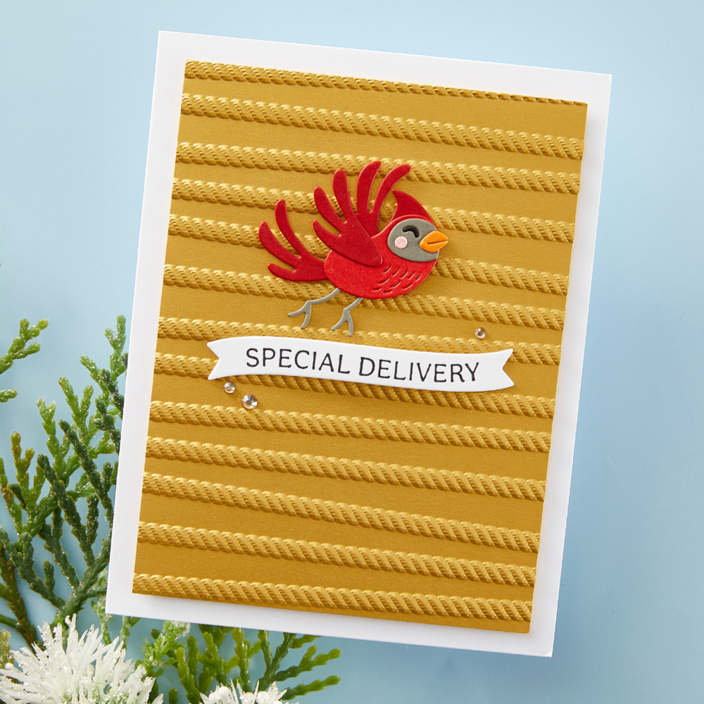 Spellbinders Conrad Cardinal Etched Dies (S1-157) Spellbinders Conrad Cardinal Etched Dies (S1-157)