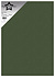 Star Rain A4 Forest Green 130gsm (10pcs) (PFSS606) Star Rain A4 Forest Green 130gsm (10pcs) (PFSS606)