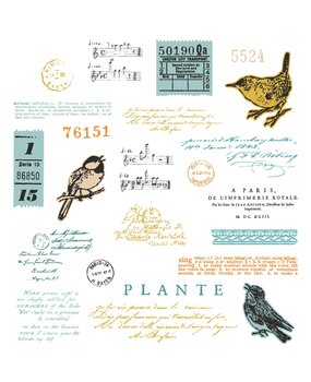 Sizzix Framelits Die w/Stamps by 49 and Market A5 Bird Song (23+5pcs) (666704)