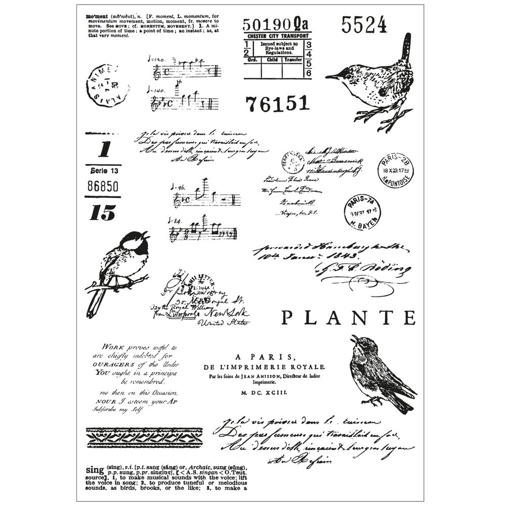 Sizzix Framelits Die w/Stamps by 49 and Market A5 Bird Song (23+5pcs) (666704)