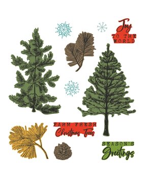 Sizzix Framelits Die w/Stamps by 49 and Market A5 Pine Holidays (16+5pcs) (666711)