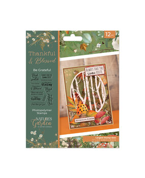 Crafter's Companion Thankful & Blessed Clear Stamp Be Grateful (NG-TAB-STP-BGRA)