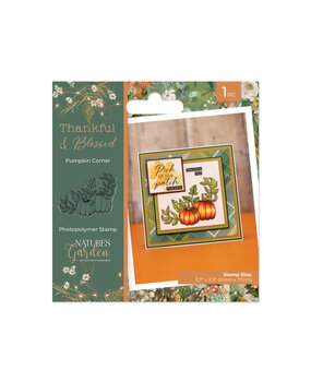 Crafter's Companion Thankful & Blessed Clear Stamp Pumpkin Corner (NG-TAB-STP-PUCO)