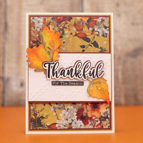 Crafter's Companion Thankful & Blessed Stamp & Die Thankful (NG-TAB-STD-THA)
