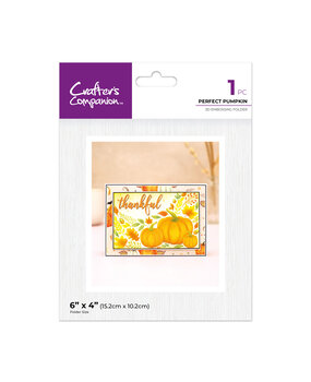 Crafter's Companion Partial 3D Embossing Folders Perfect Pumpkins (CC-3D-EF4-PEPU)