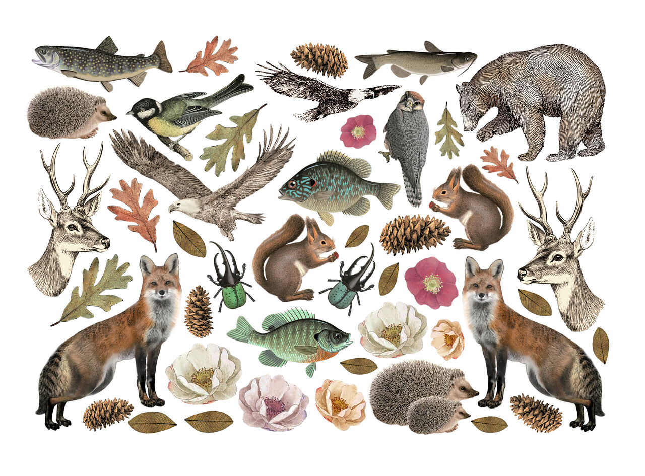 Stamperia Forest Ephemera (46pcs) (DFLCT53) Stamperia Forest Ephemera (46pcs) (DFLCT53)