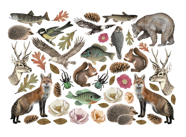 Stamperia Forest Ephemera (46pcs) (DFLCT53) Stamperia Forest Ephemera (46pcs) (DFLCT53)