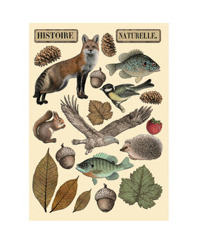 Stamperia Forest Colored Wooden Shape A5 (KLSP171)