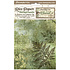 Forest A6 Rice Paper Backgrounds (8pcs) (DFSAK6030) (DISCONTINUED)