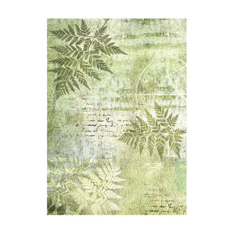 Stamperia Forest A6 Rice Paper Backgrounds (8pcs) (DFSAK6030)