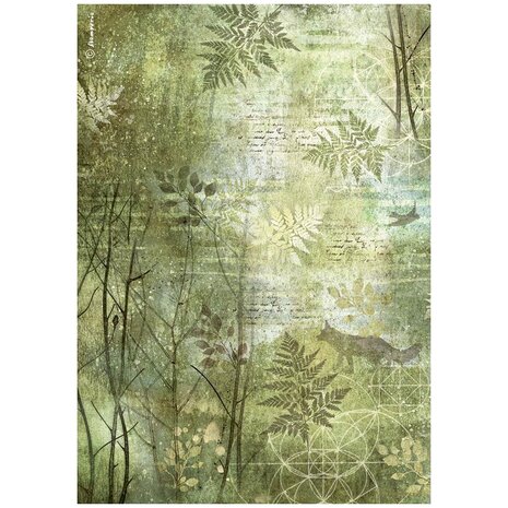 Stamperia Forest A4 Rice Paper Trees (6pcs) (DFSA4954) Stamperia Forest A4 Rice Paper Trees (6pcs) (DFSA4954)