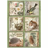Stamperia Forest A4 Rice Paper 6 Cards (6pcs) (DFSA4952) Stamperia Forest A4 Rice Paper 6 Cards (6pcs) (DFSA4952)