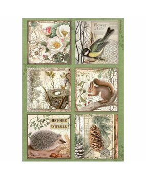 Stamperia Forest A4 Rice Paper 6 Cards (6pcs) (DFSA4952)