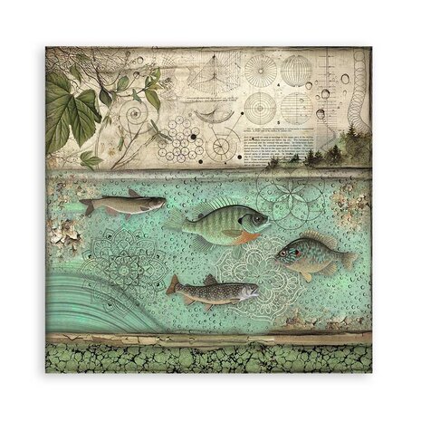 Stamperia Forest 12x12 Inch Paper Pack Maxi (Single Face) (SBBXLBG01) Stamperia Forest 12x12 Inch Paper Pack Maxi (Single Face) (SBBXLBG01)