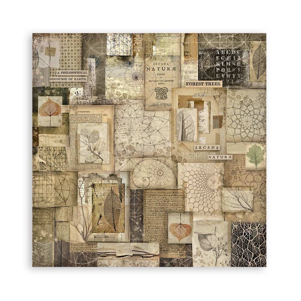 Stamperia Forest 12x12 Inch Paper Pack Maxi (Single Face) (SBBXLBG01) Stamperia Forest 12x12 Inch Paper Pack Maxi (Single Face) (SBBXLBG01)