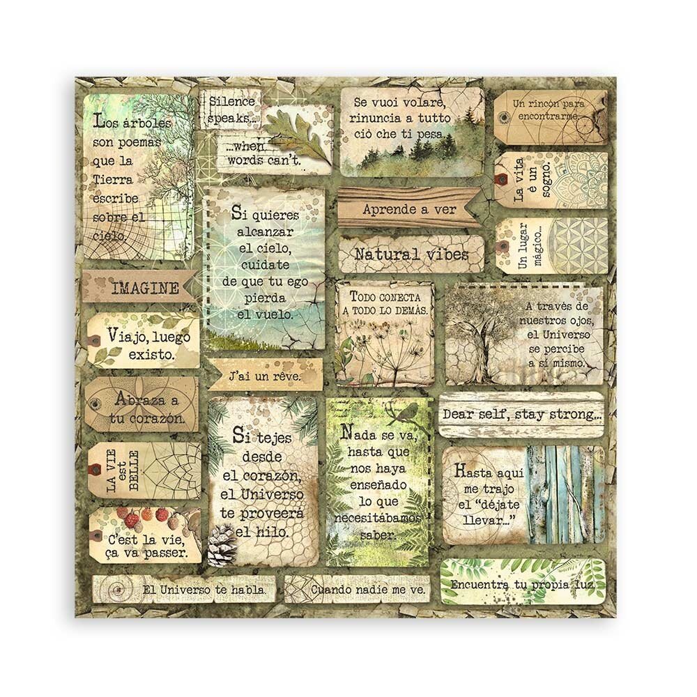Stamperia Forest 12x12 Inch Paper Pack Maxi (Single Face) (SBBXLBG01) Stamperia Forest 12x12 Inch Paper Pack Maxi (Single Face) (SBBXLBG01)