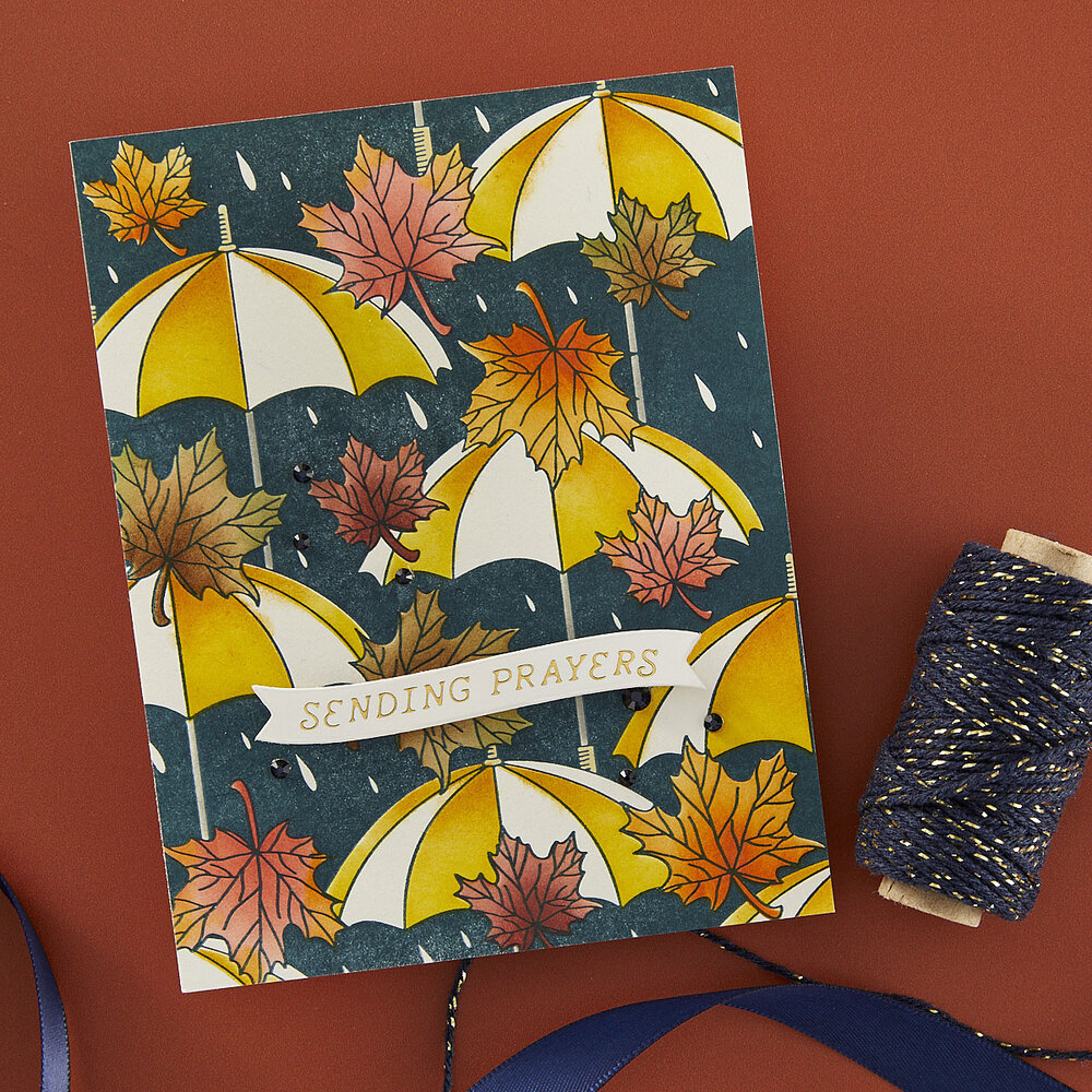 Spellbinders Autumn Rain Press Plate and Stencil Bundle (BD-0897)