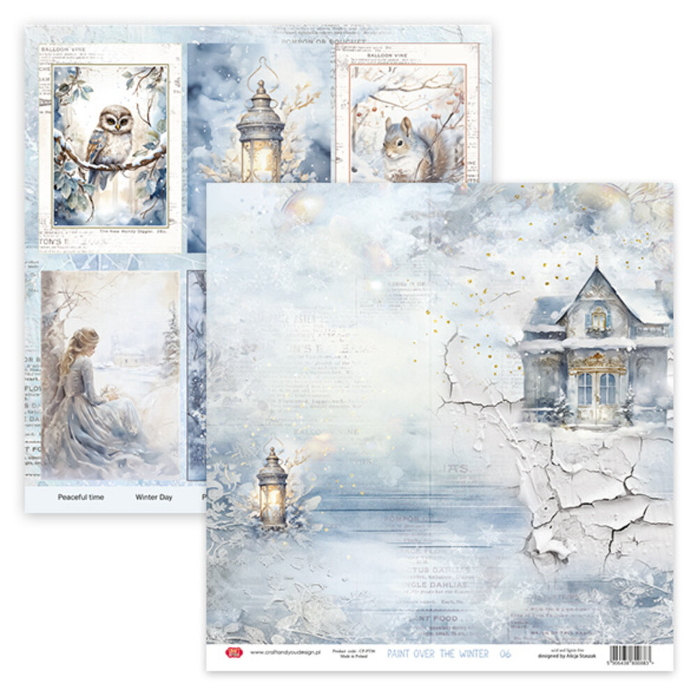 Craft & You Design Paint Over The Winter 12x12 Inch Paper Set 250gr (6sheets) (CYD-CPS-PT30-6)