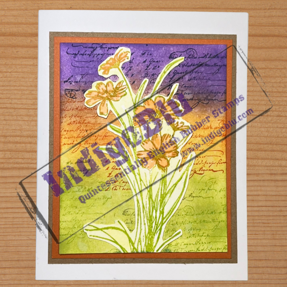 IndigoBlu Gerbera A6 Rubber Stamps (IND1341)