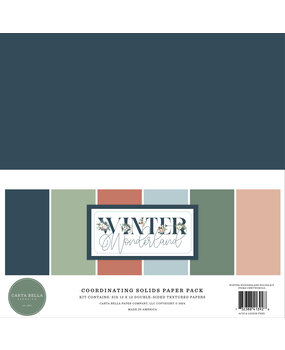 Carta Bella Winter Wonderland 12x12 Inch Coordinating Solids Paper Pack (CBWTW397015)