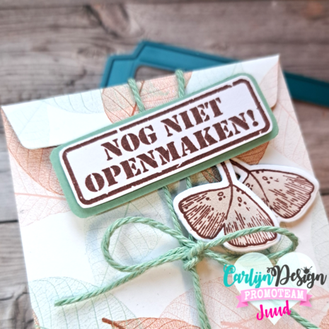 CarlijnDesign Stempels Herfstgroetjes (CDST-0126) CarlijnDesign Stempels Herfstgroetjes (CDST-0126)