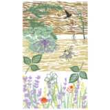 Sizzix Studio Clear Stamps w/Stencils by Vic Hollins Nature (666761)